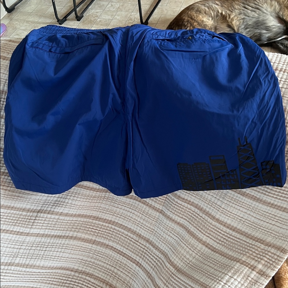 Just Don All City Basketball Shorts - Picture 3 of 3